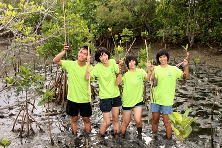 Students dig into the mud to plant mangrove shoots as part of their sea conservation camp.